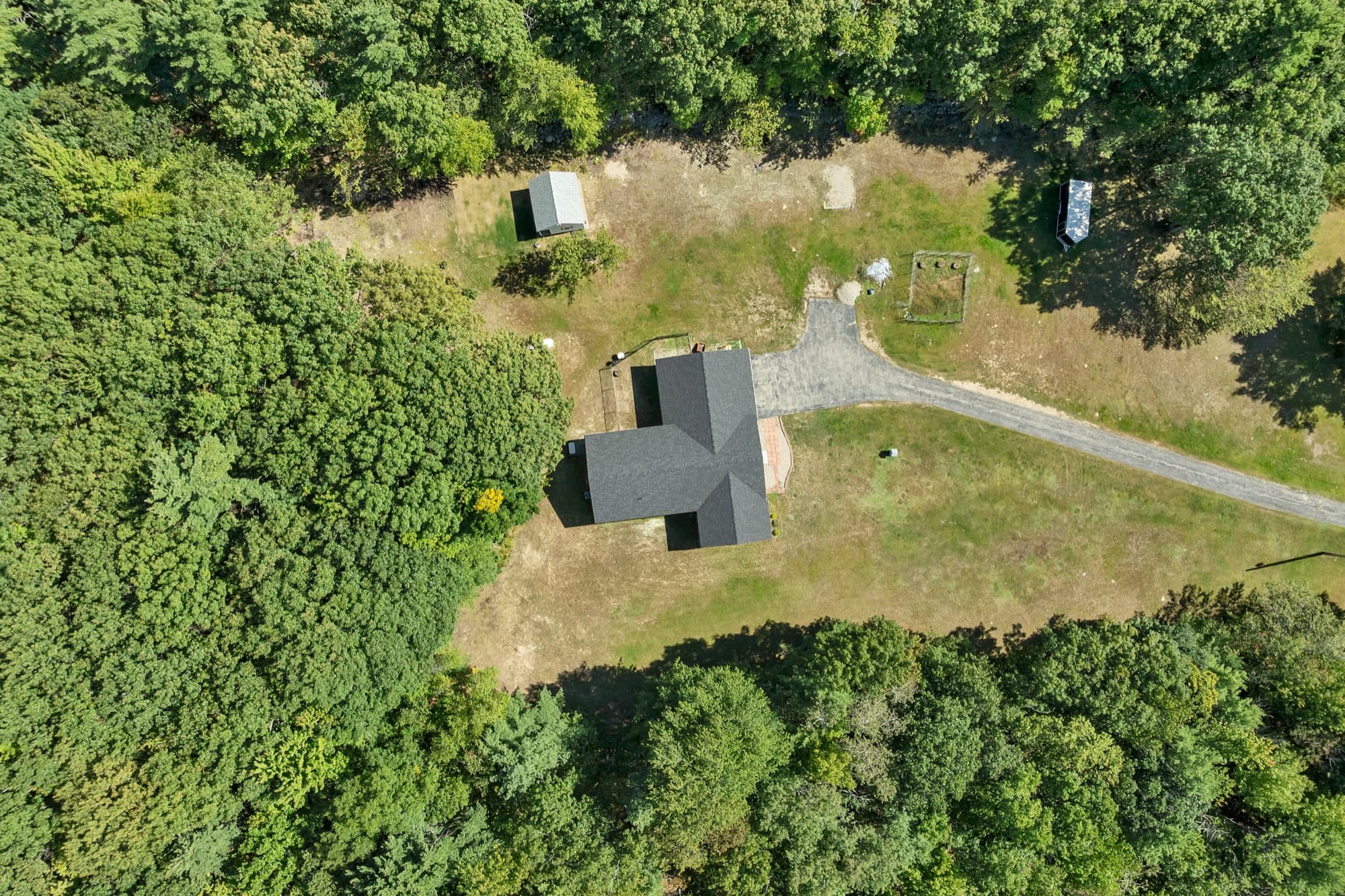 The clearing from directly above: the house, the driveway loop, the studio, and the woods around them